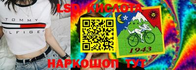 стаф Кунгур