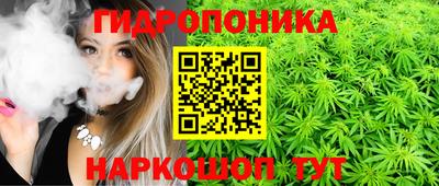 тгк Кулебаки