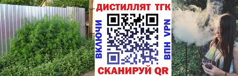 купить наркоту  Кохма  Дистиллят ТГК Wax 